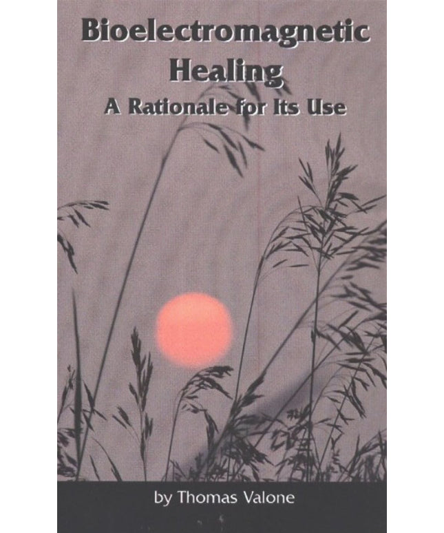 Bioelectromagnetic Healing: A Rationale for its Use