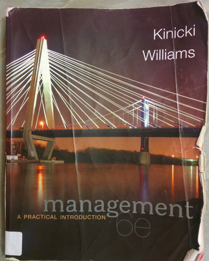 Management: A Practical Introduction