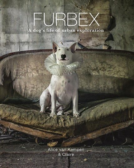 Furbex: A Dog’s Life of Urban Exploration