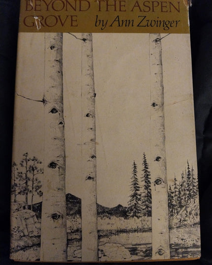 Beyond the Aspen Grove