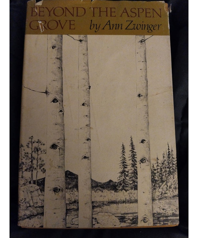 Beyond the Aspen Grove