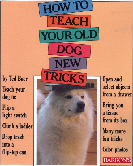 How to Teach Your Old Dog New Tricks