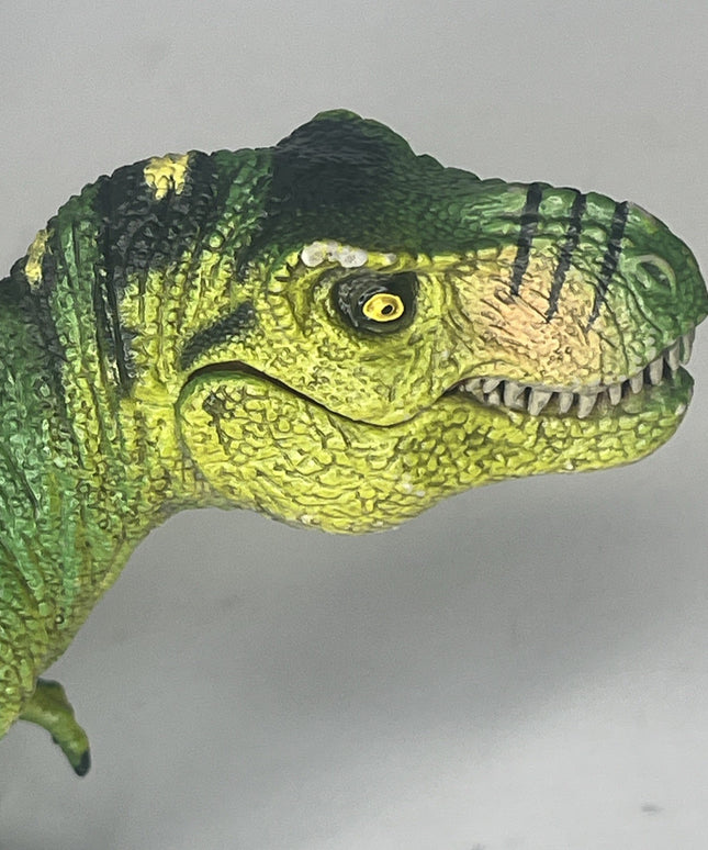 Adventure Force Tyrannosaurus Dinosaur T-Rex Green 2020 Solid Textured