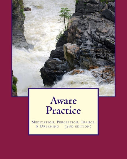 Aware Practice: Meditation, Perception, Trance, & Dreaming: Second Edition