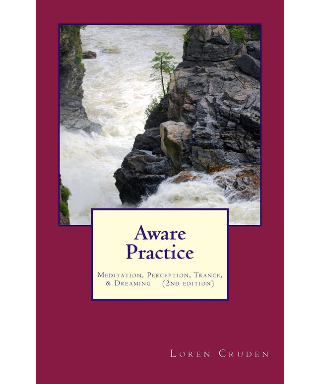 Aware Practice: Meditation, Perception, Trance, & Dreaming: Second Edition
