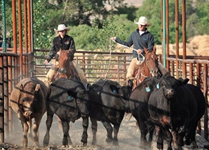 Big Sky Boots: Working Seasons of a Montana Cowboy