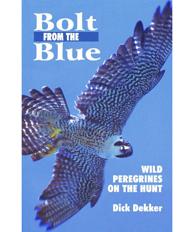 Bolt from the Blue: Wild Peregrines on the Hunt