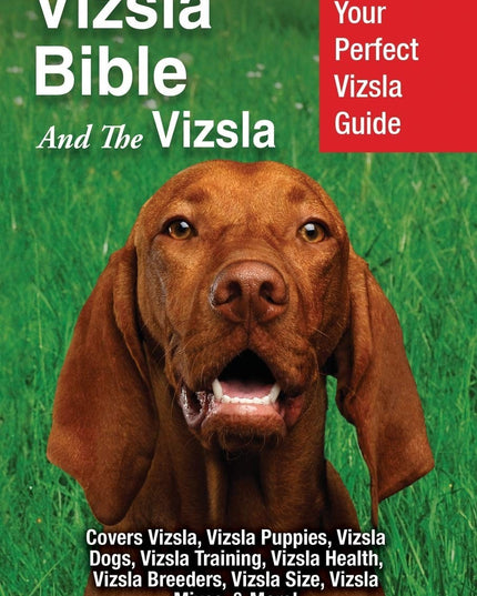 Vizsla Bible And the Vizsla: Your Perfect Vizsla Guide Covers Vizsla, Vizsla Pu