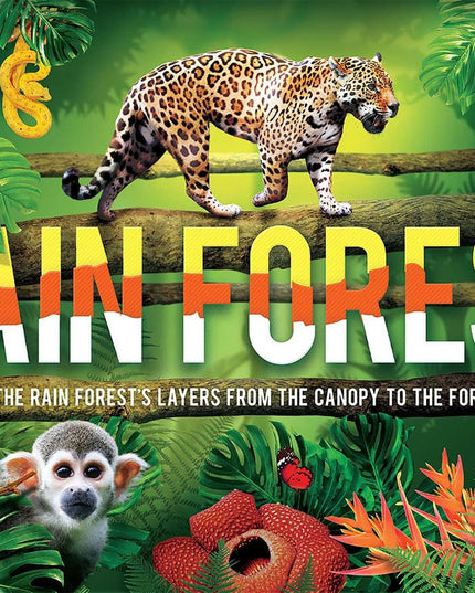 3-D Explorer: Rain Forest