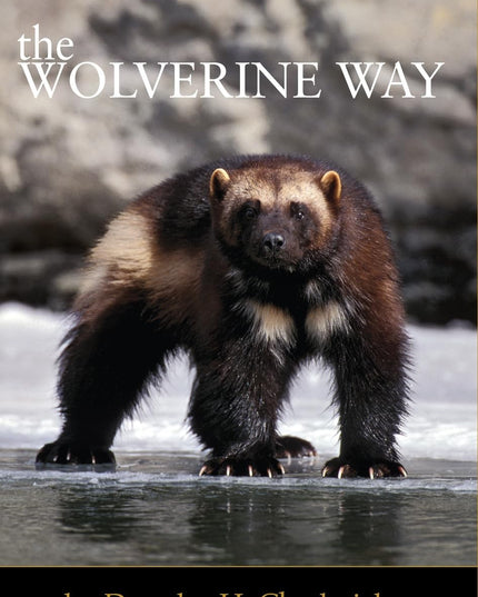 The Wolverine Way