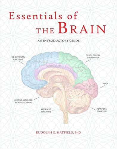 Essentials of the Brain: An Introductory Guide