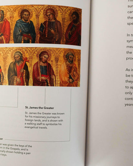 The Word on Fire Bible (Volume I): The Gospels (Leather)