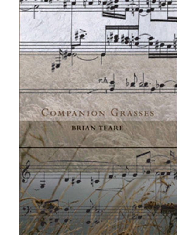 Companion Grasses