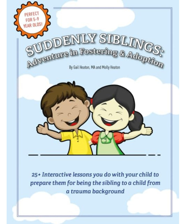 Adventure in Fostering and Adoption (Adventures In)
