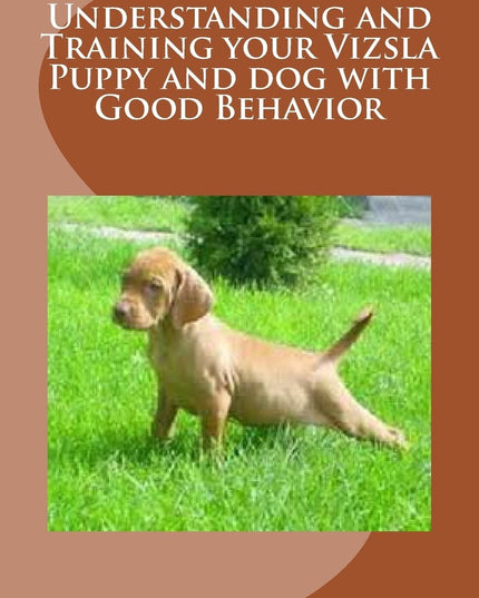 Understanding and Training your Vizsla Puppy and dog with Good Behavior