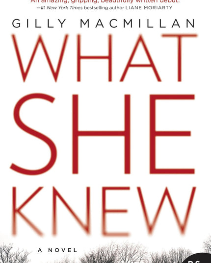 What She Knew: A British Domestic Thriller Where Kidnapping Reveals Deadly Fami