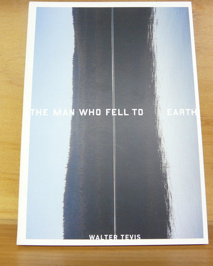 The Man Who Fell To Earth