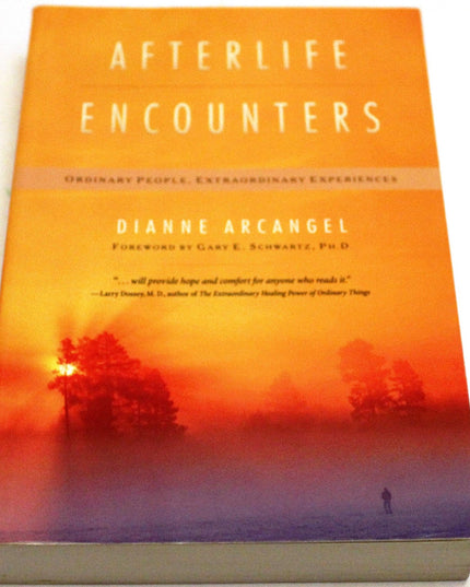 Afterlife Encounters: Ordinary People, Extraordinary Experiences