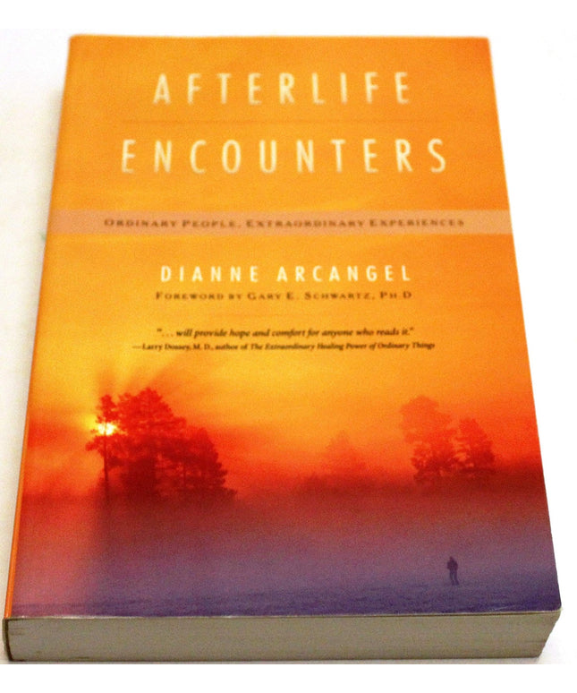 Afterlife Encounters: Ordinary People, Extraordinary Experiences