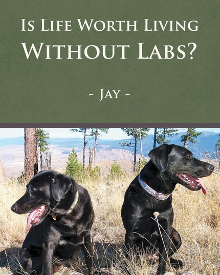 Is Life Worth Living Without Labs?
