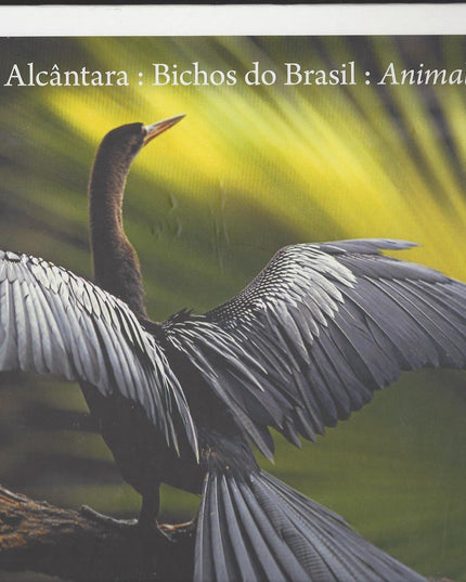 Araquem Alcantara : Bichos do Brasil : Animals of Brazil