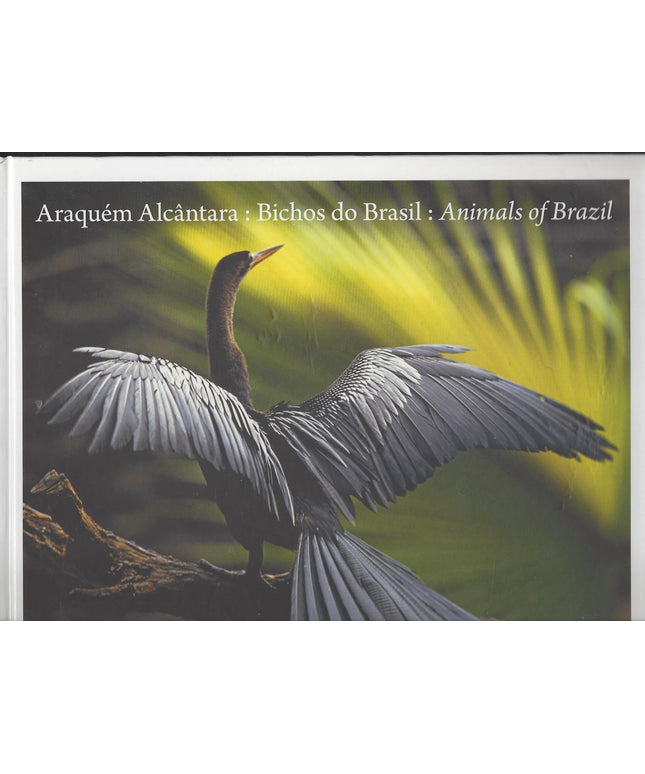 Araquem Alcantara : Bichos do Brasil : Animals of Brazil