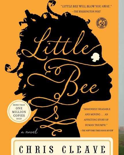 Little Bee: A Novel