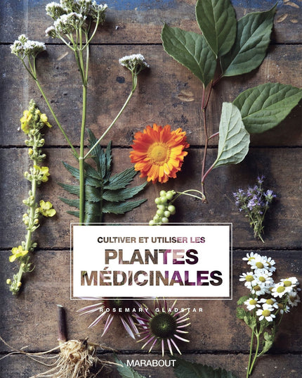 Cultiver et utiliser les plantes médicinales