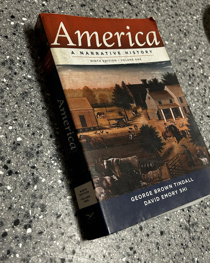 America: A Narrative History Chapters 1-17