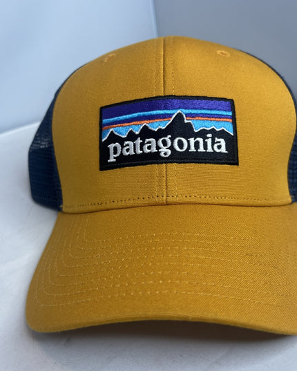 Patagonia Yellow And Blue SnapBack Hat