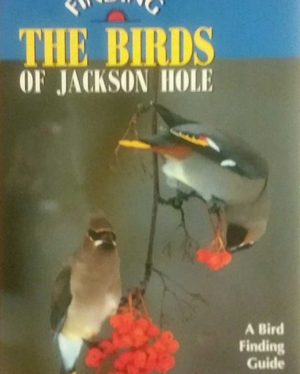 Finding the Birds of Jackson Hole: A Bird Finding Guide