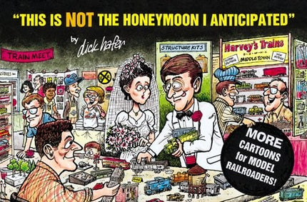 This Is Not the Honeymoon I Anticipated