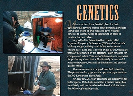 Big Sky Boots: Working Seasons of a Montana Cowboy
