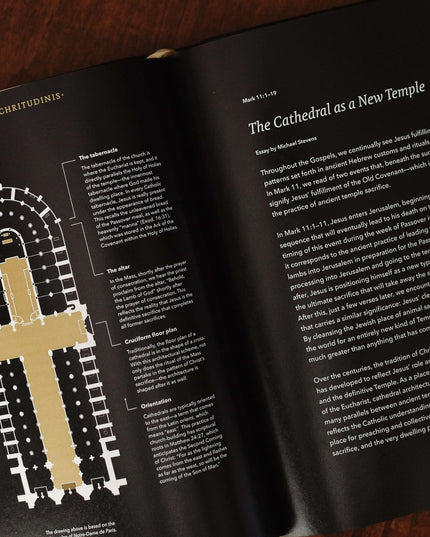 The Word on Fire Bible (Volume I): The Gospels (Leather)