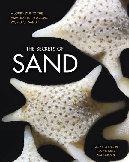 The Secrets of Sand: A Journey into the Amazing Microscopic World of Sand