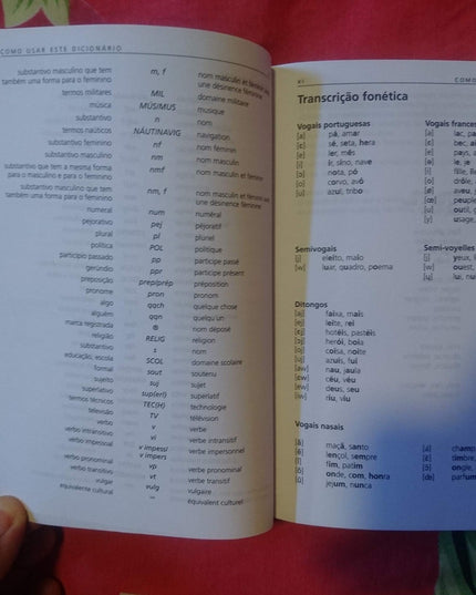 Dicionário Larousse. Francês-Português/Português-Francês (Em Portuguese do Bras