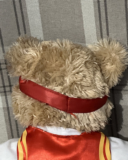 Miami Heat Stuffed Bear 18”