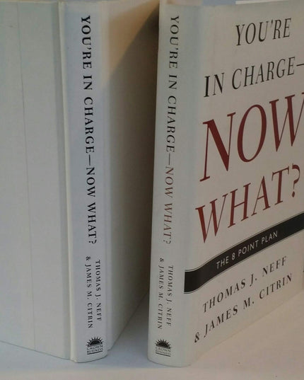 You're in Charge--Now What?: The 8 Point Plan