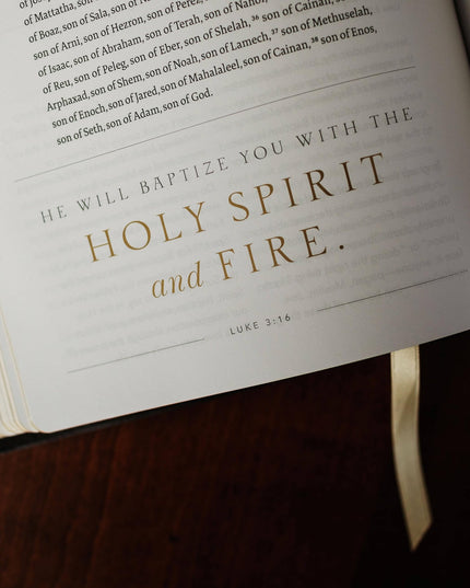 The Word on Fire Bible (Volume I): The Gospels (Leather)