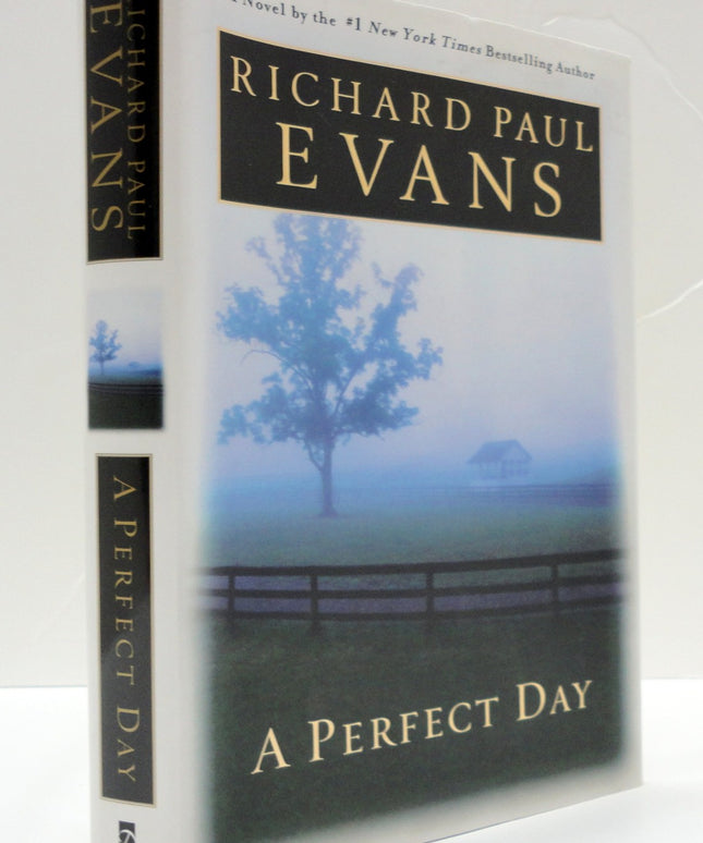 A Perfect Day